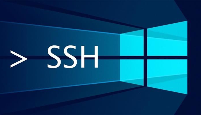 《Xshell、MobaXterm等5款主流SSH客户端对比》